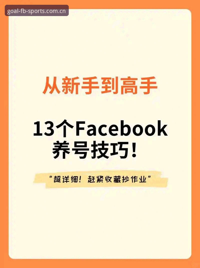 FB官网功能详解：从新手到高手的完整使用指南